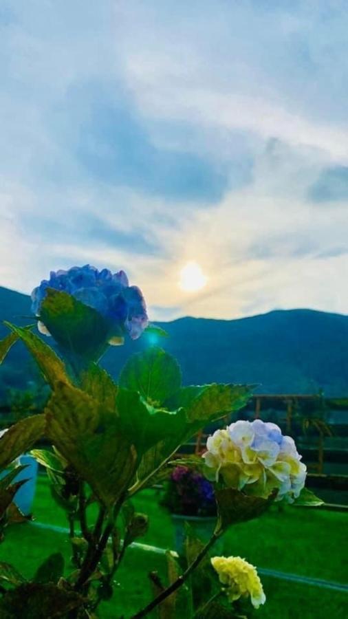 Ha Lu Homestay Lao Cai Dış mekan fotoğraf